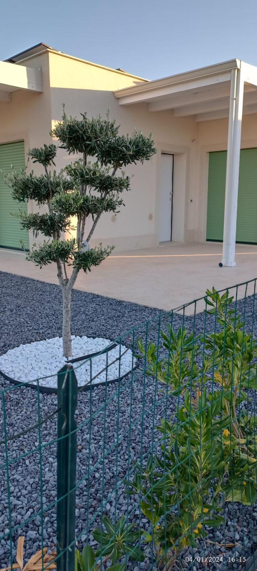 Casa Vacanze Pantakyas Brucoli Exteriér fotografie